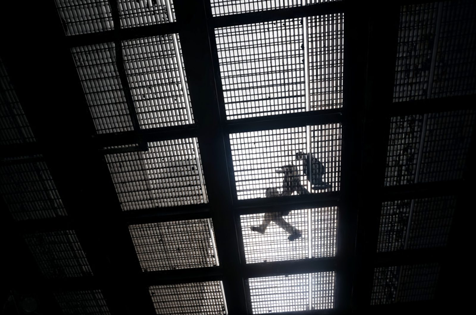 Photographs, 2025: image 4 of 29